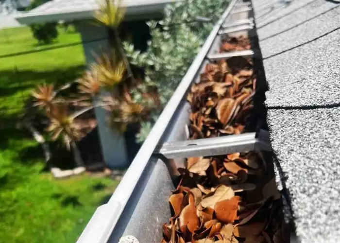 Bear gutter cleaning home page